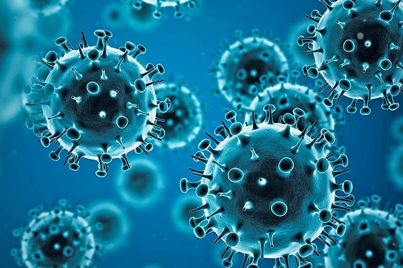 COVID-19 Virus